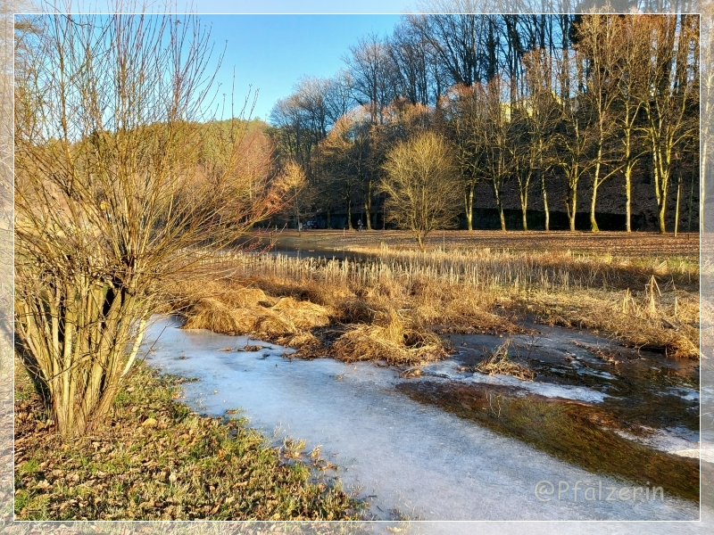 Am Weiher 5.webp