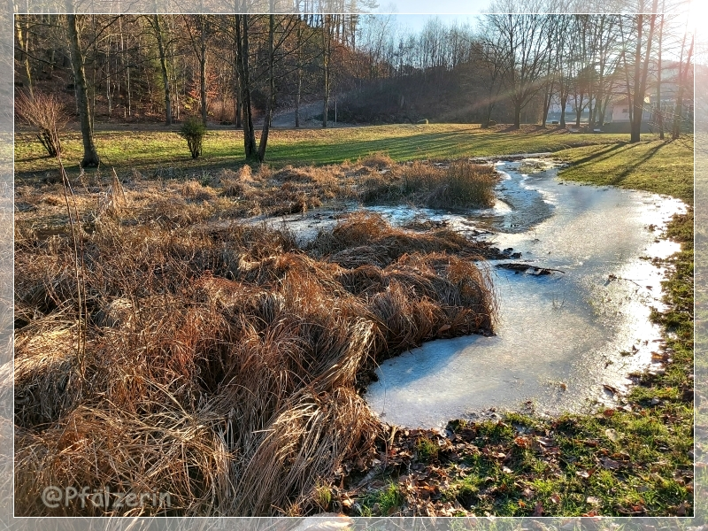 Am Weiher 7.webp