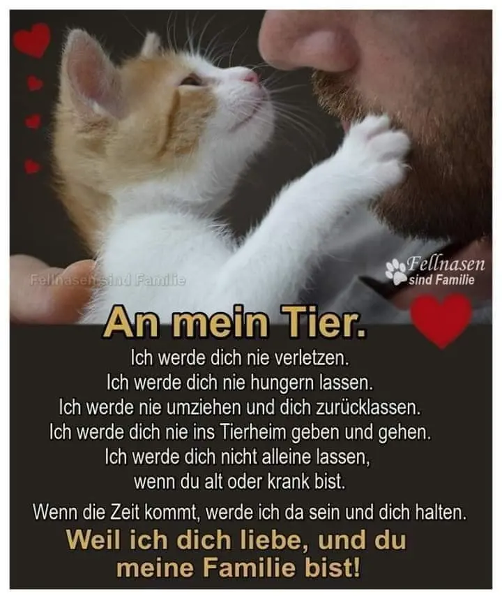 an-mein-tier.webp