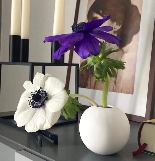Anemone.webp