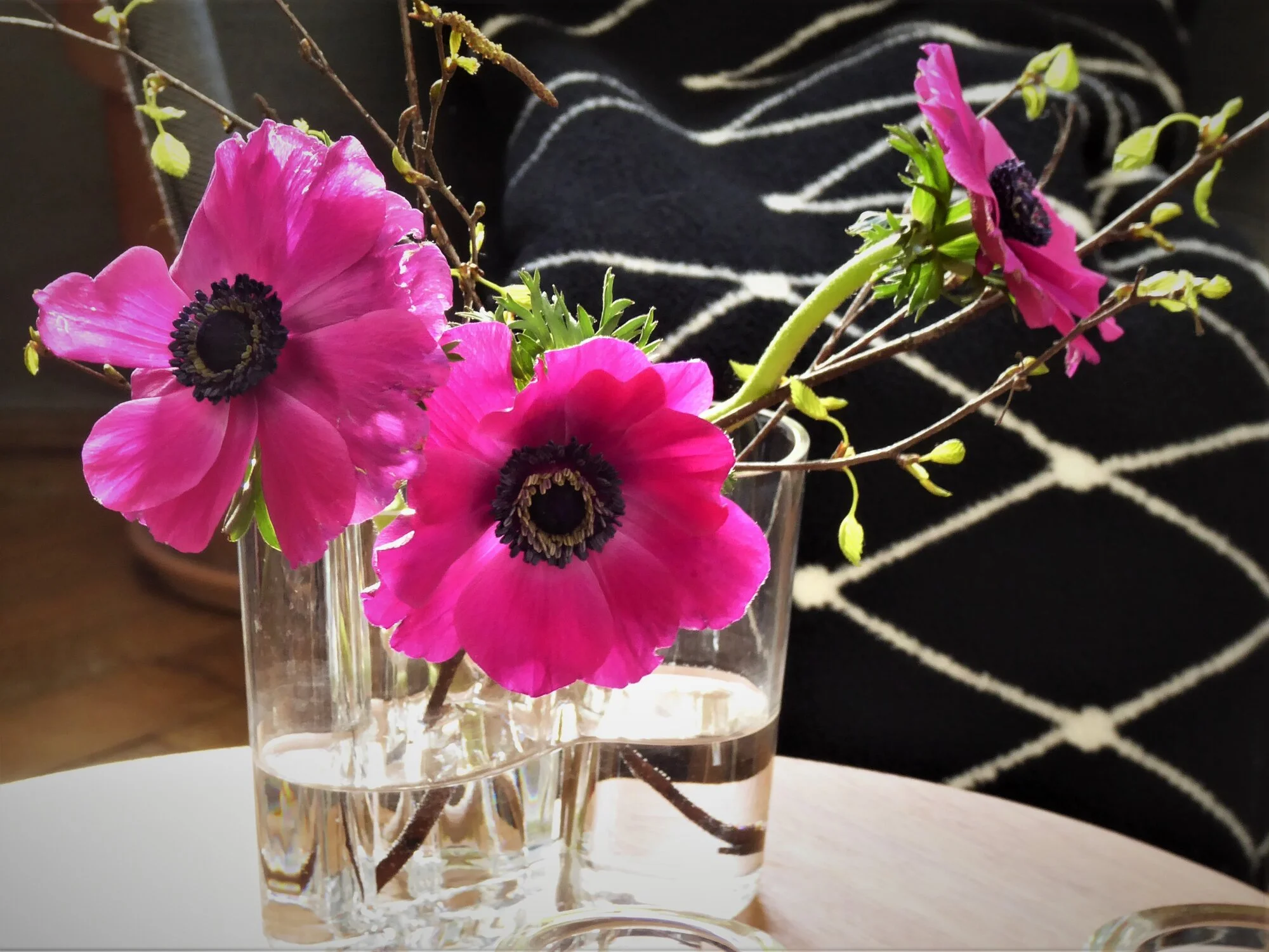 Anemonen.webp