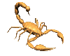 animated-scorpion-image-0009.gif