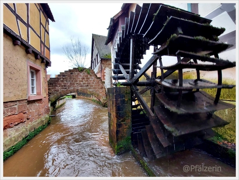 Annweiler 12.webp