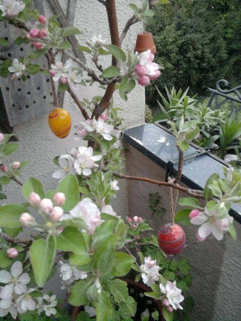 Apfel April 2019.webp