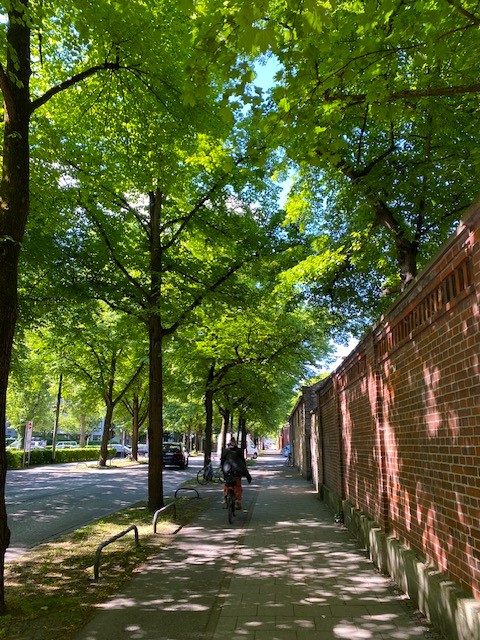 Arcisstraße.jpg