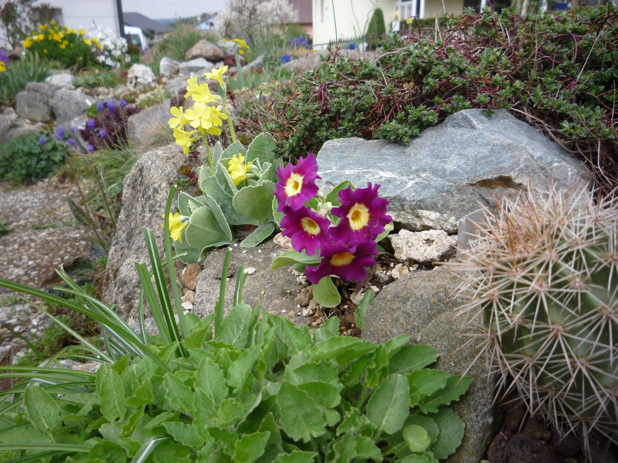 Ausschnitt Alp 2009_24.04.2020.webp