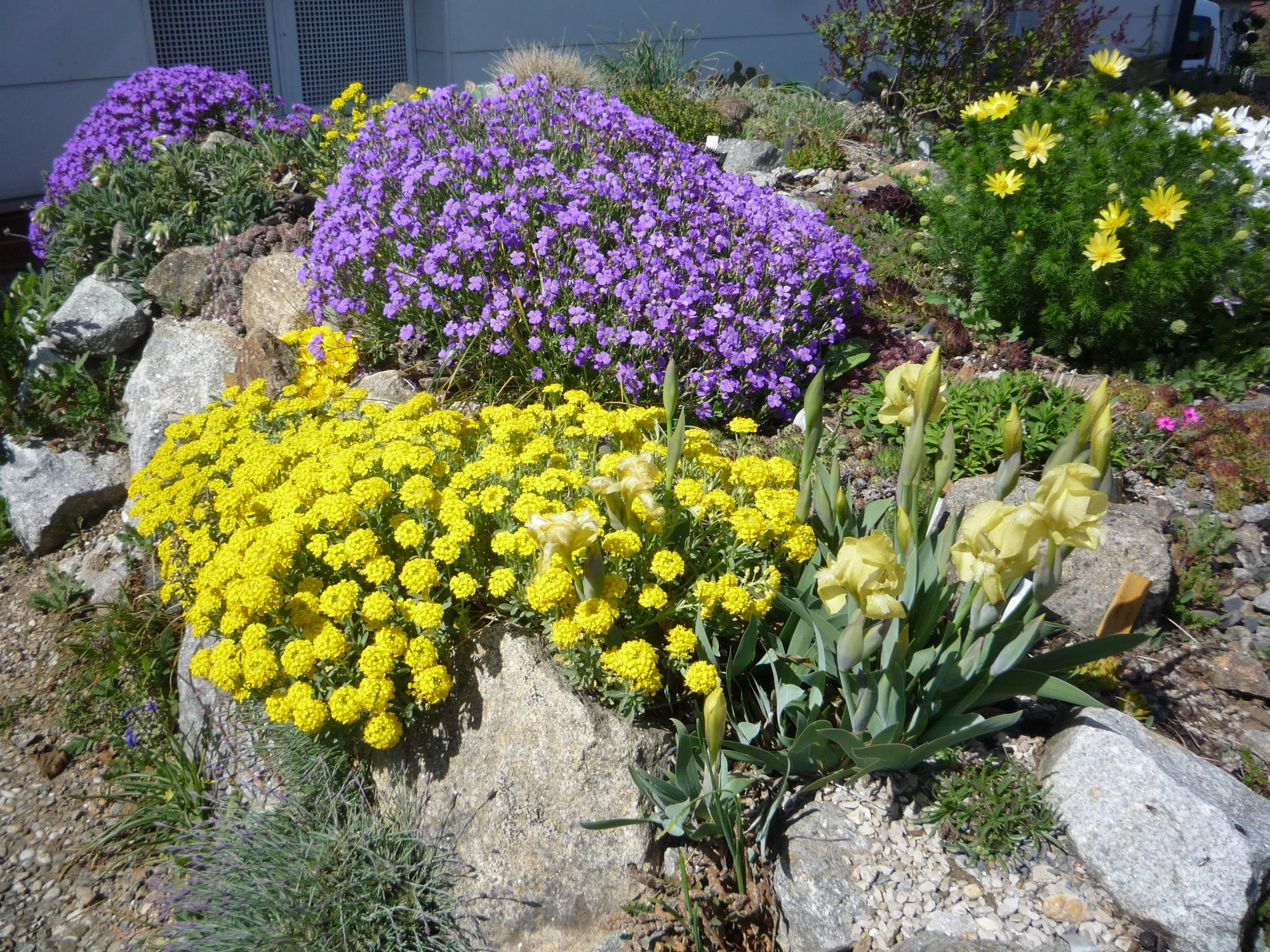 Ausschnitt Alp 2009_25.04.2020.webp