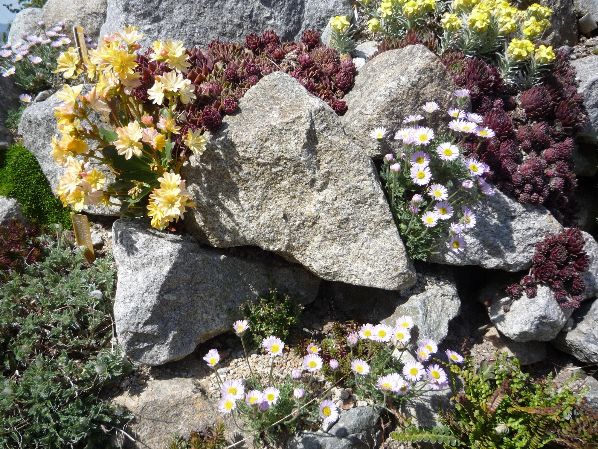 Ausschnitt Berg 2012_24.04.2020.webp