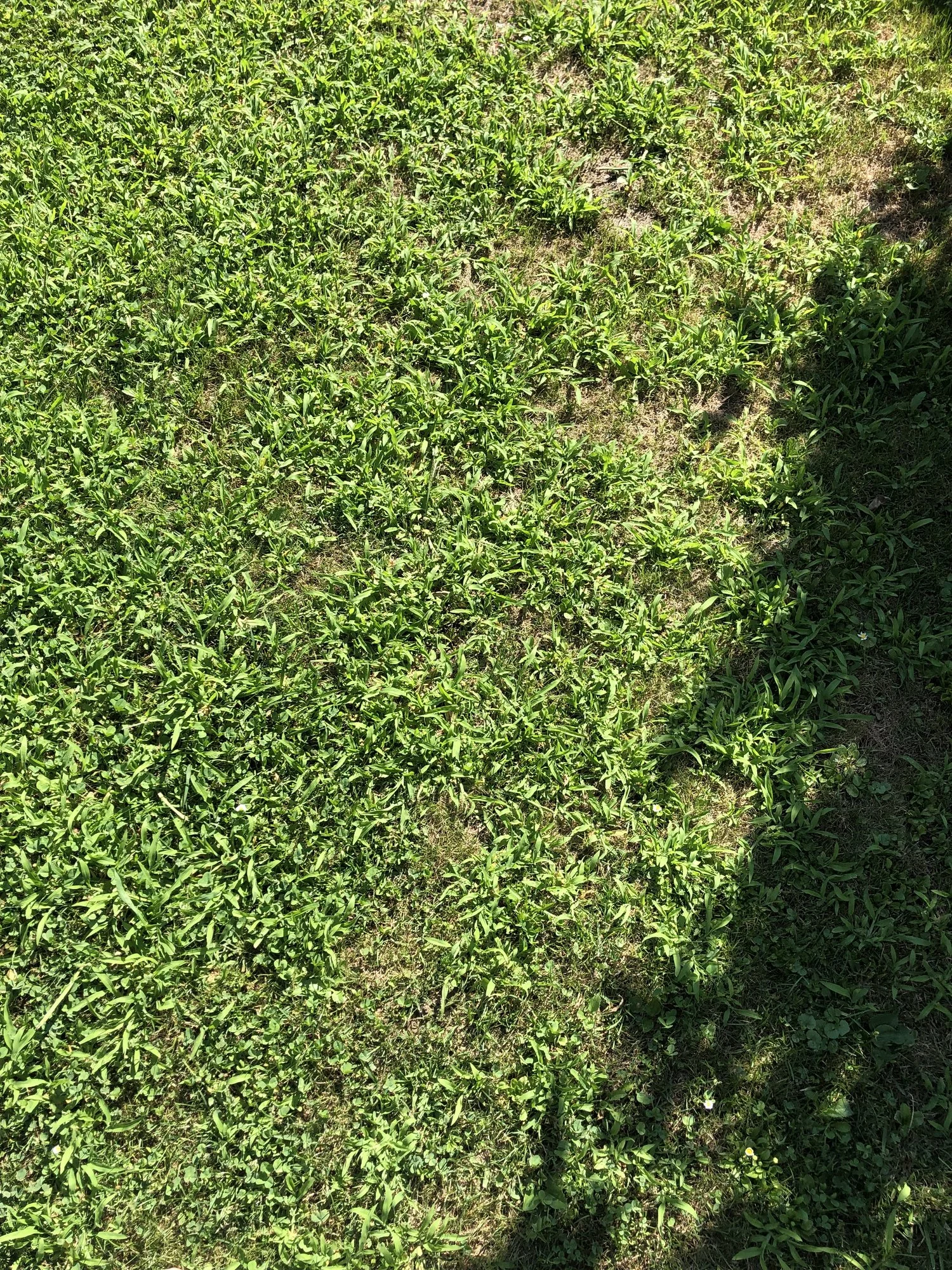 B07640F5-5018-4F84-9E08-7A8FBE15A47E.webp