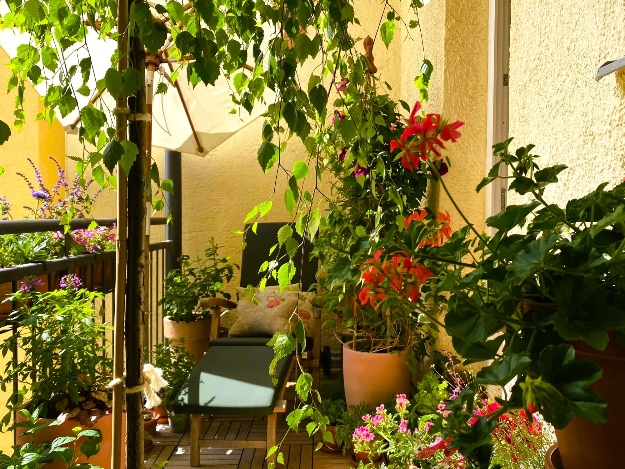 Balkon 26.webp