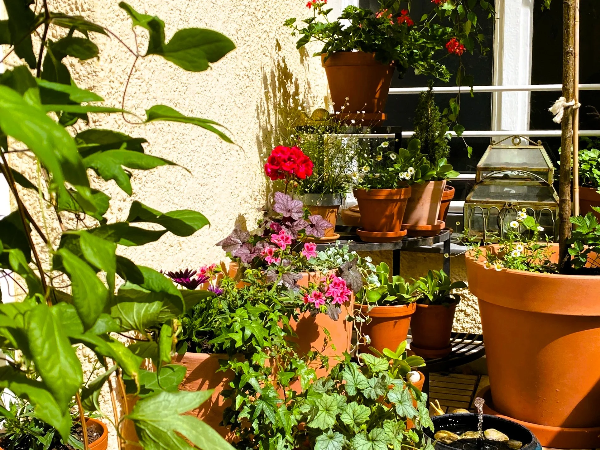 Balkon im Mai 26.webp