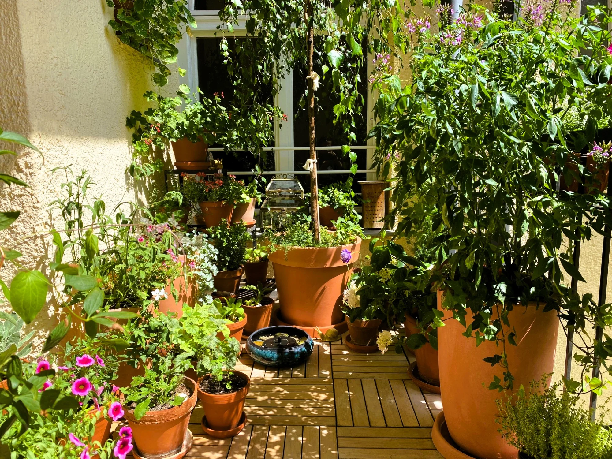 Balkon Juli2026 1.webp