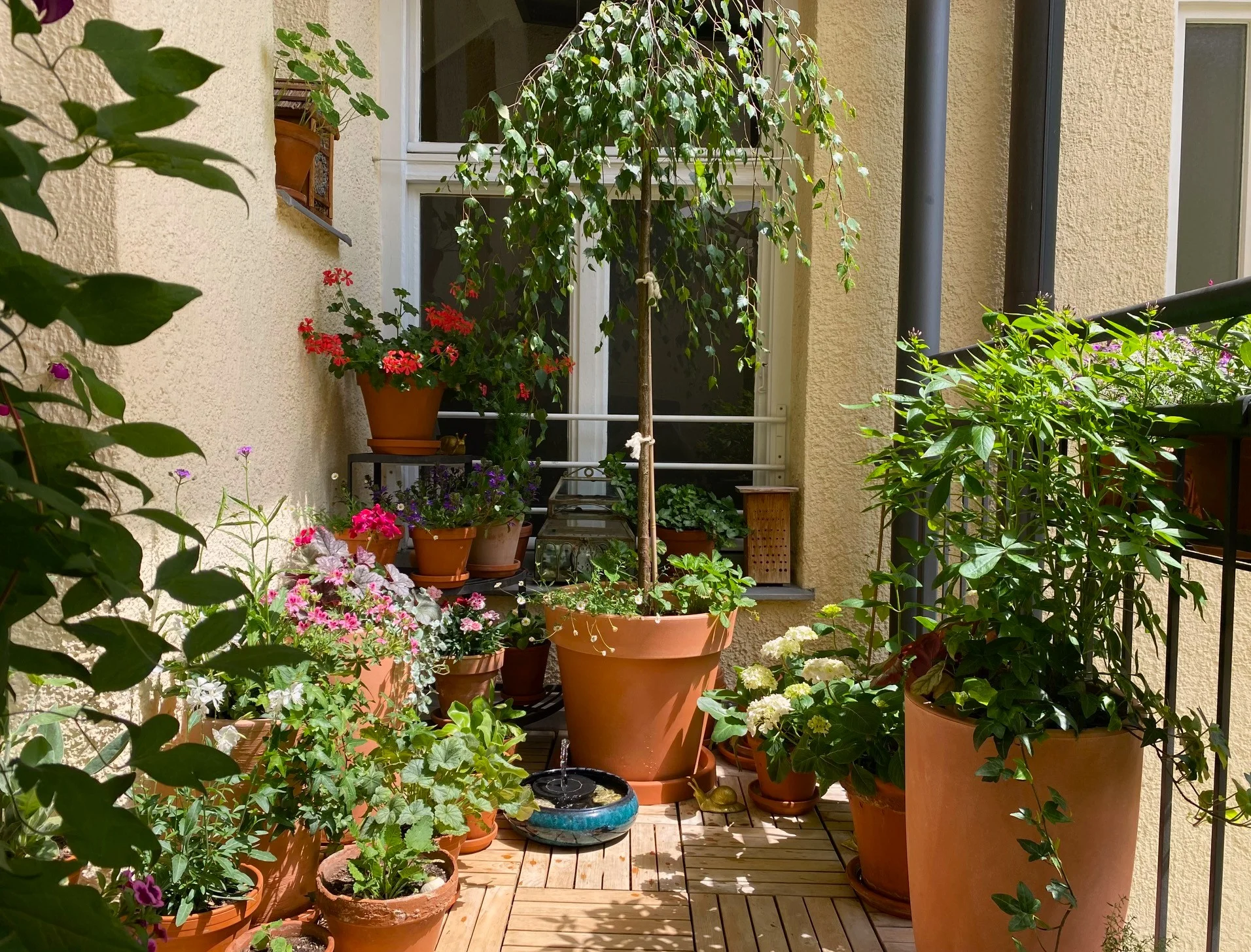 Balkon Juni 26.webp