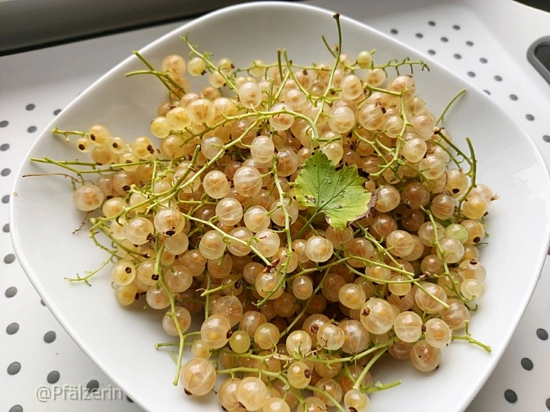 Beeren pflücken 1.webp
