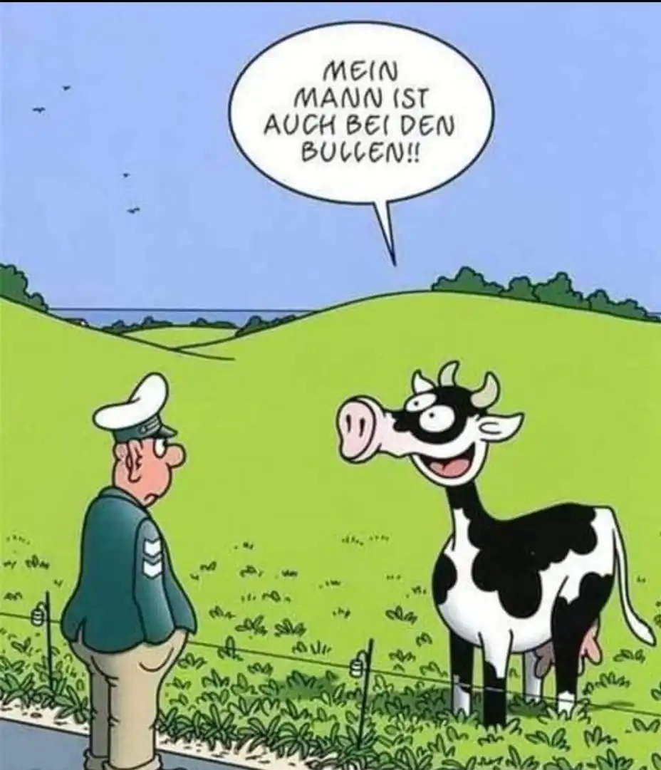 bei den Bullen.webp