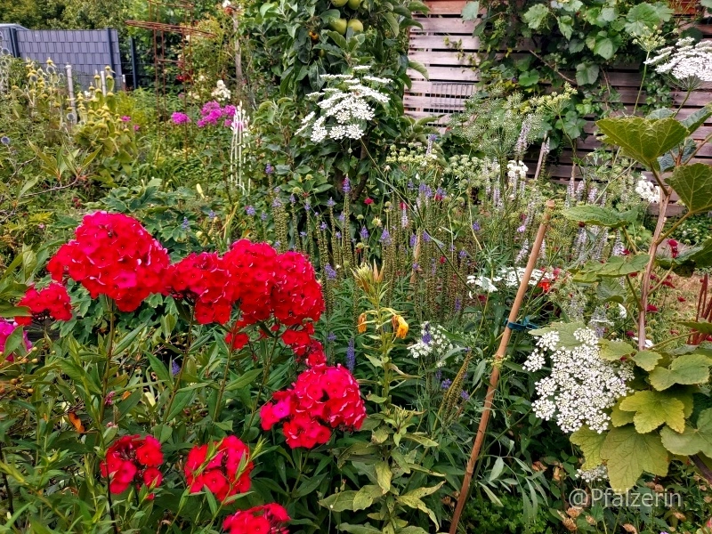 Bienen und Hummeln 1.webp