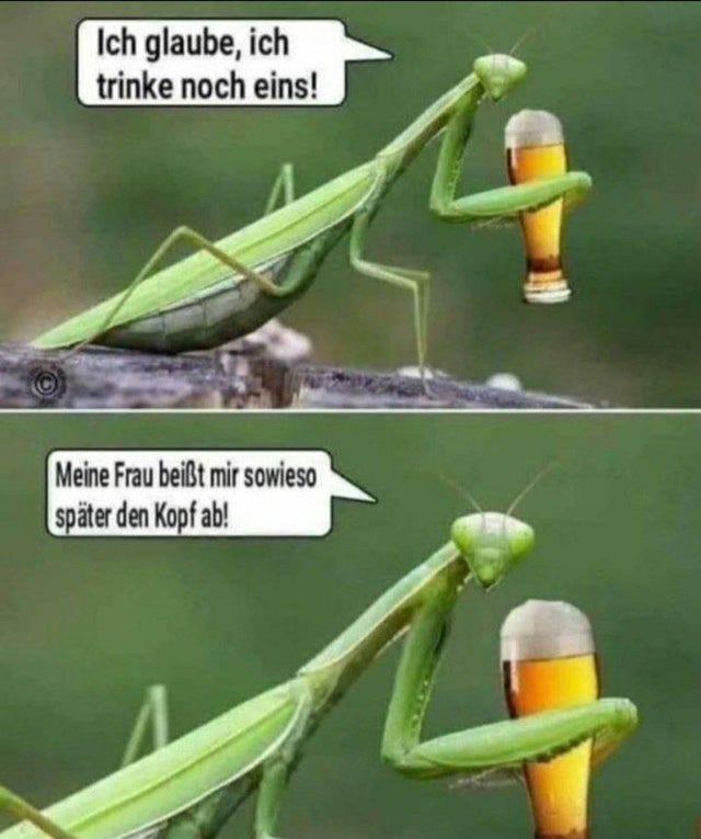 Bier.jpg