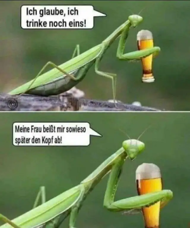 Bier.webp