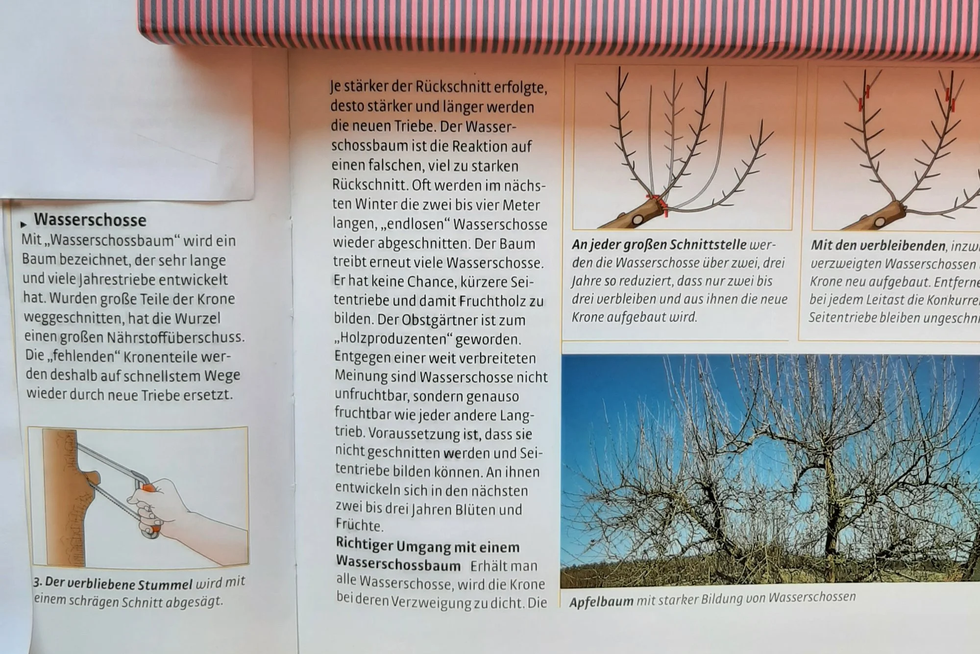 Bild 2.jpg