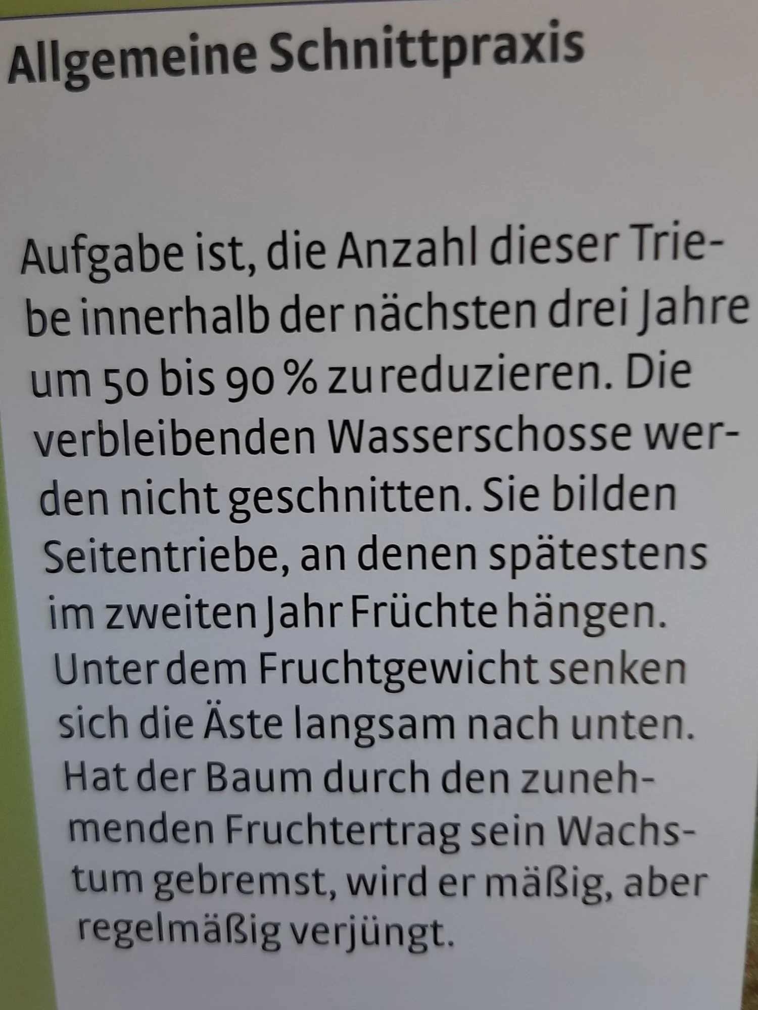 Bild 3.jpg