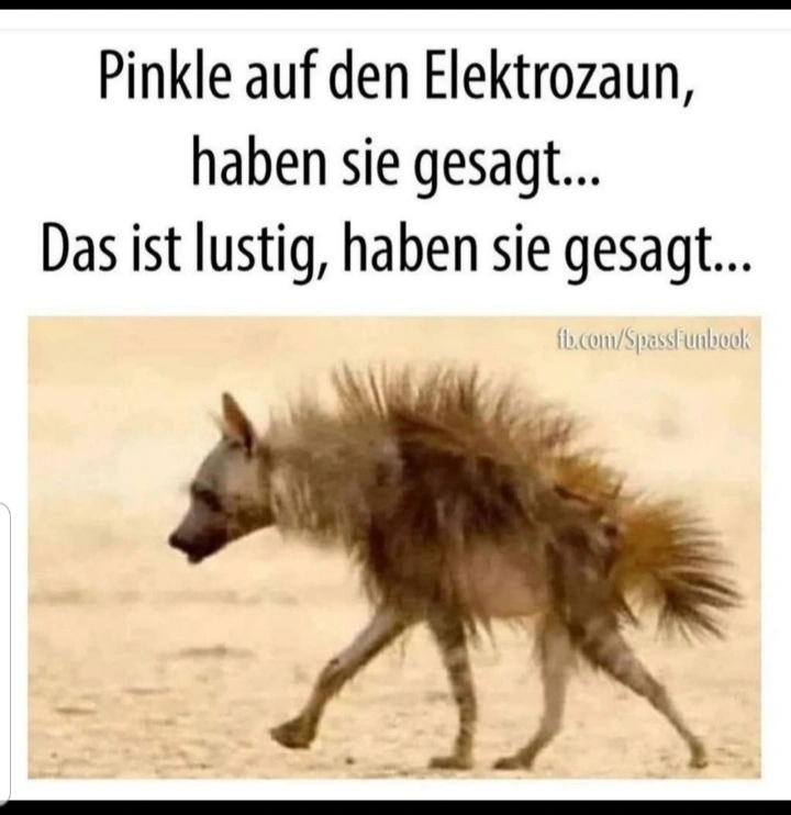 Bild.webp