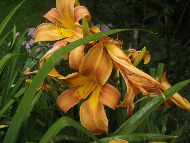 BILD0171.webp