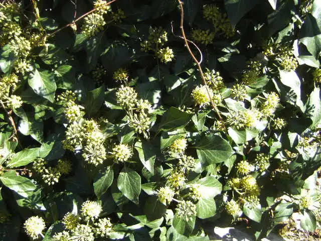 BILD0704.webp