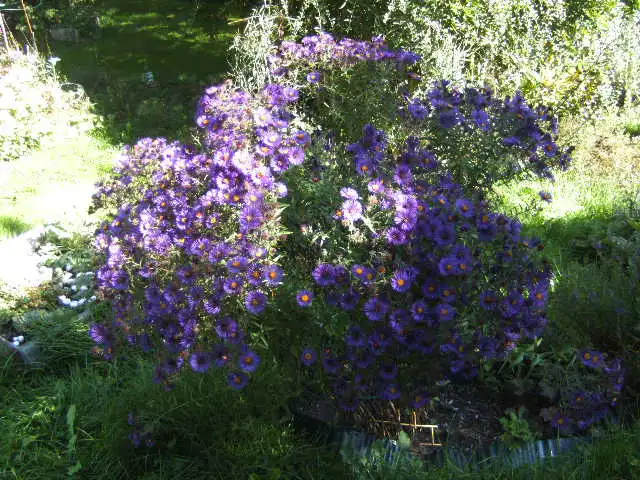 BILD0710.webp