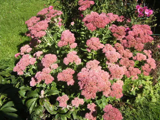 BILD0711.webp