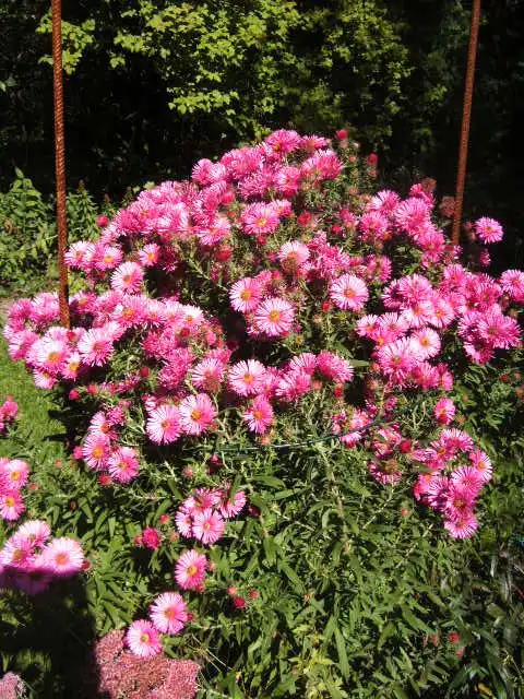 BILD0712.webp