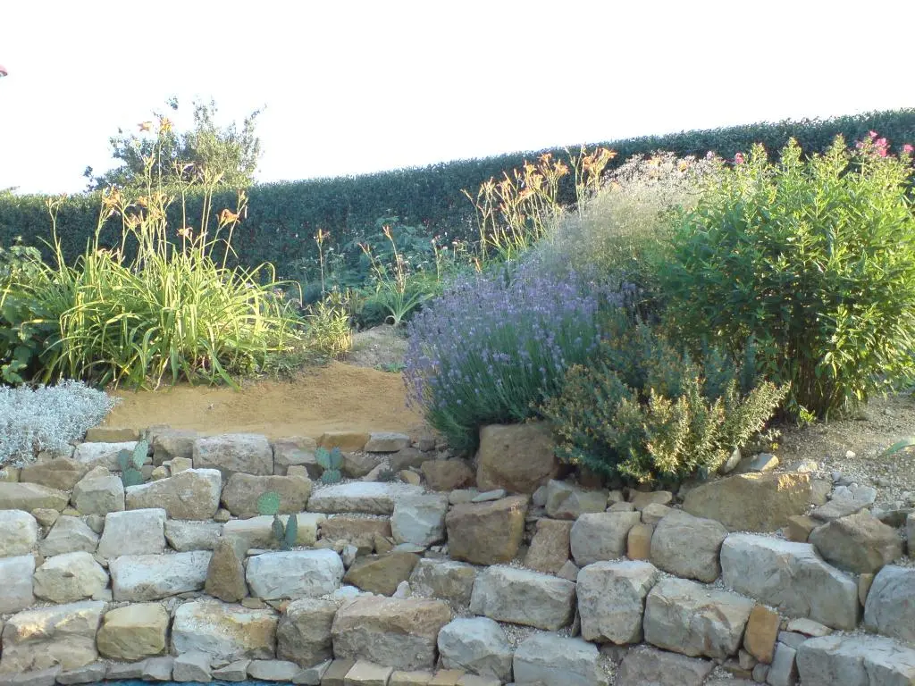 Bild135_zpsd90755cc.jpg