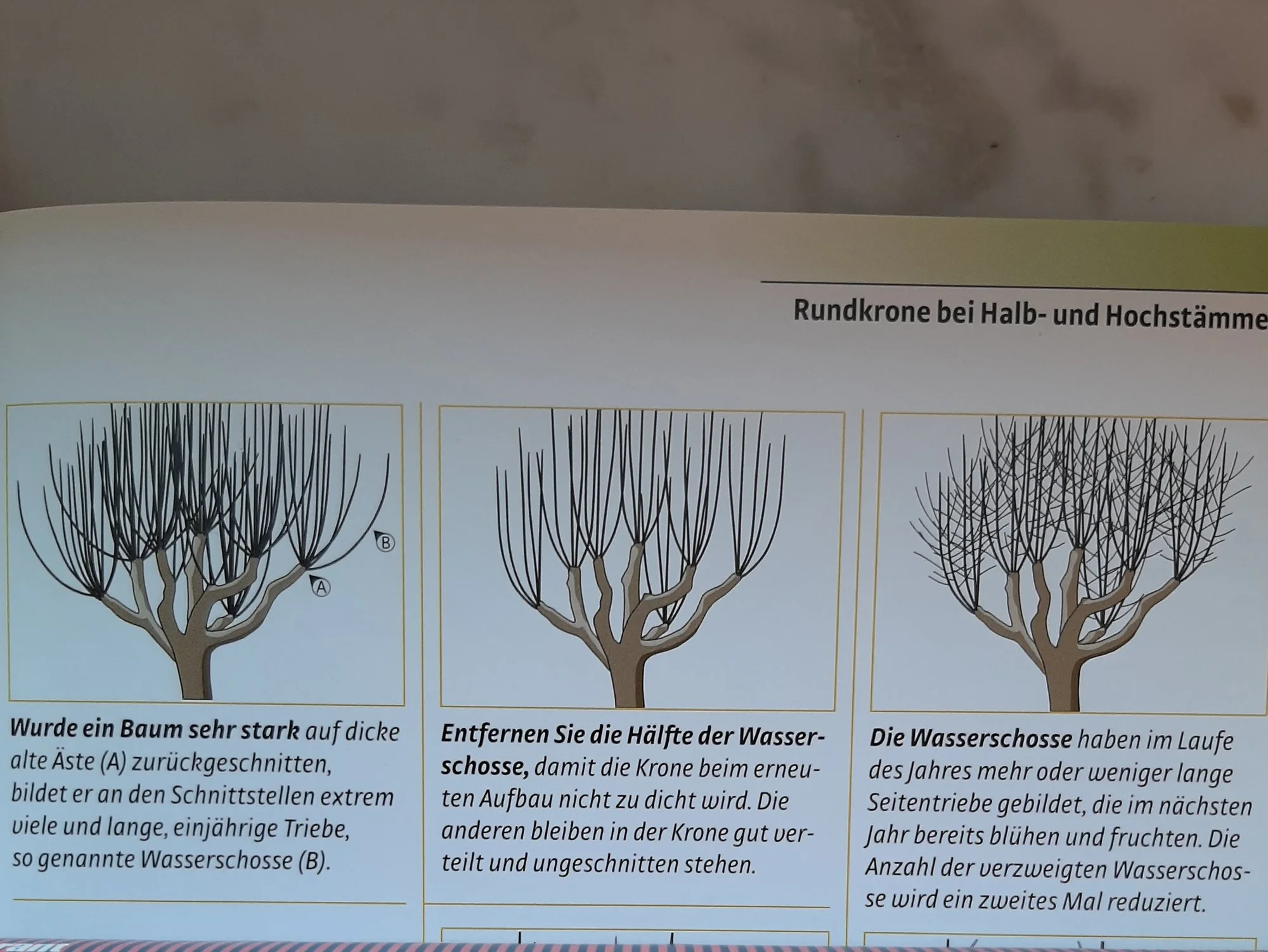 Bild4.jpg