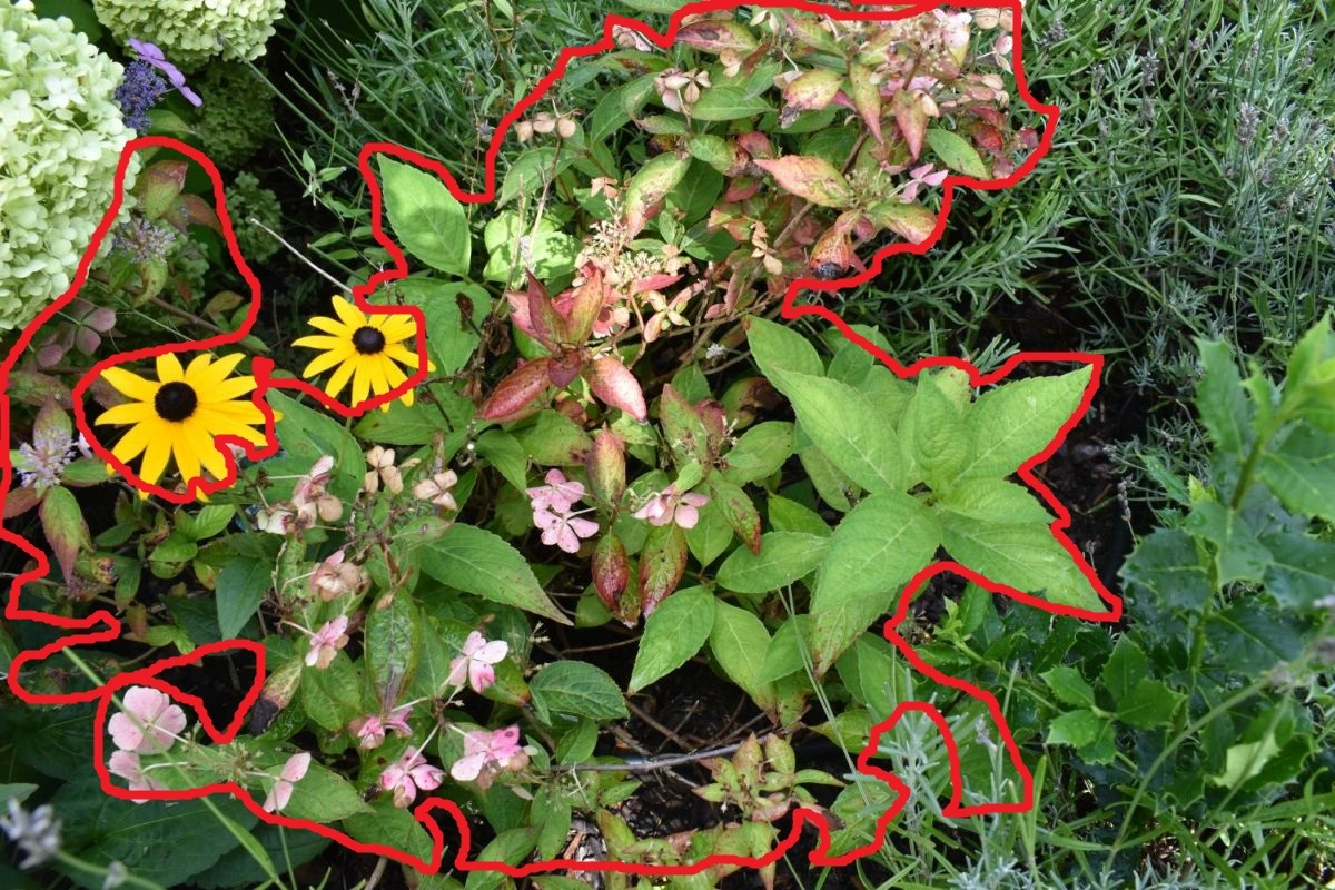 Bild8a.webp