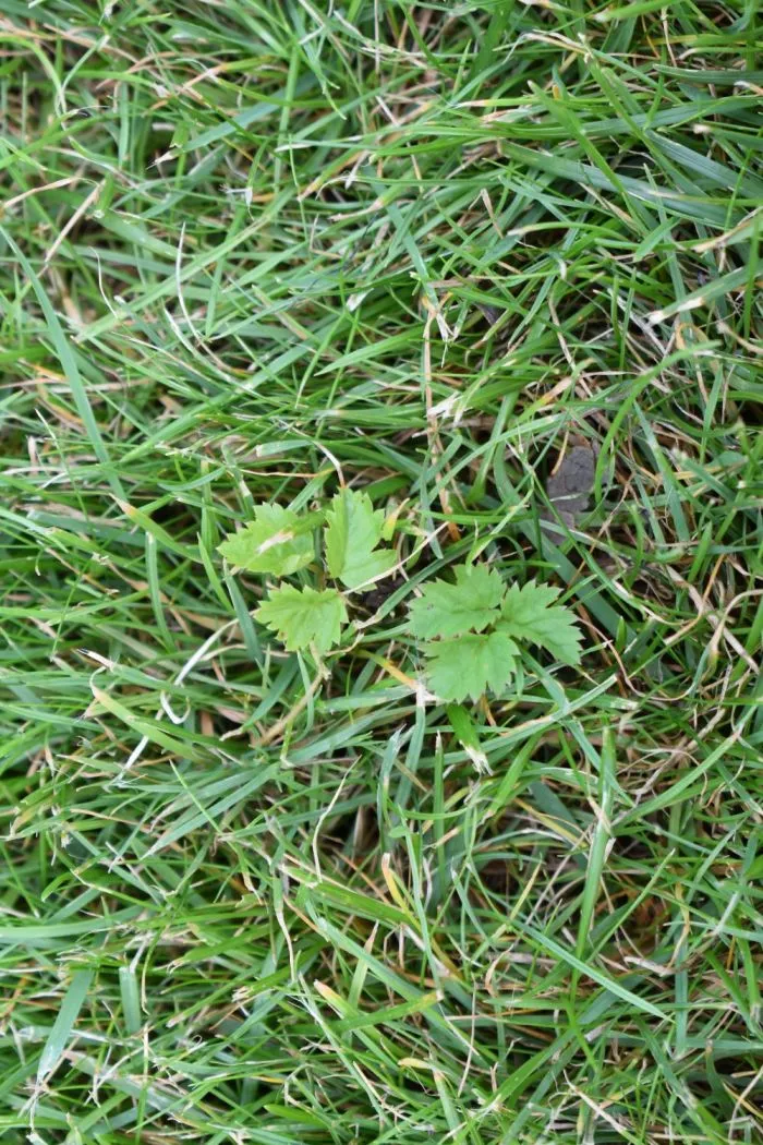 Bild9.webp