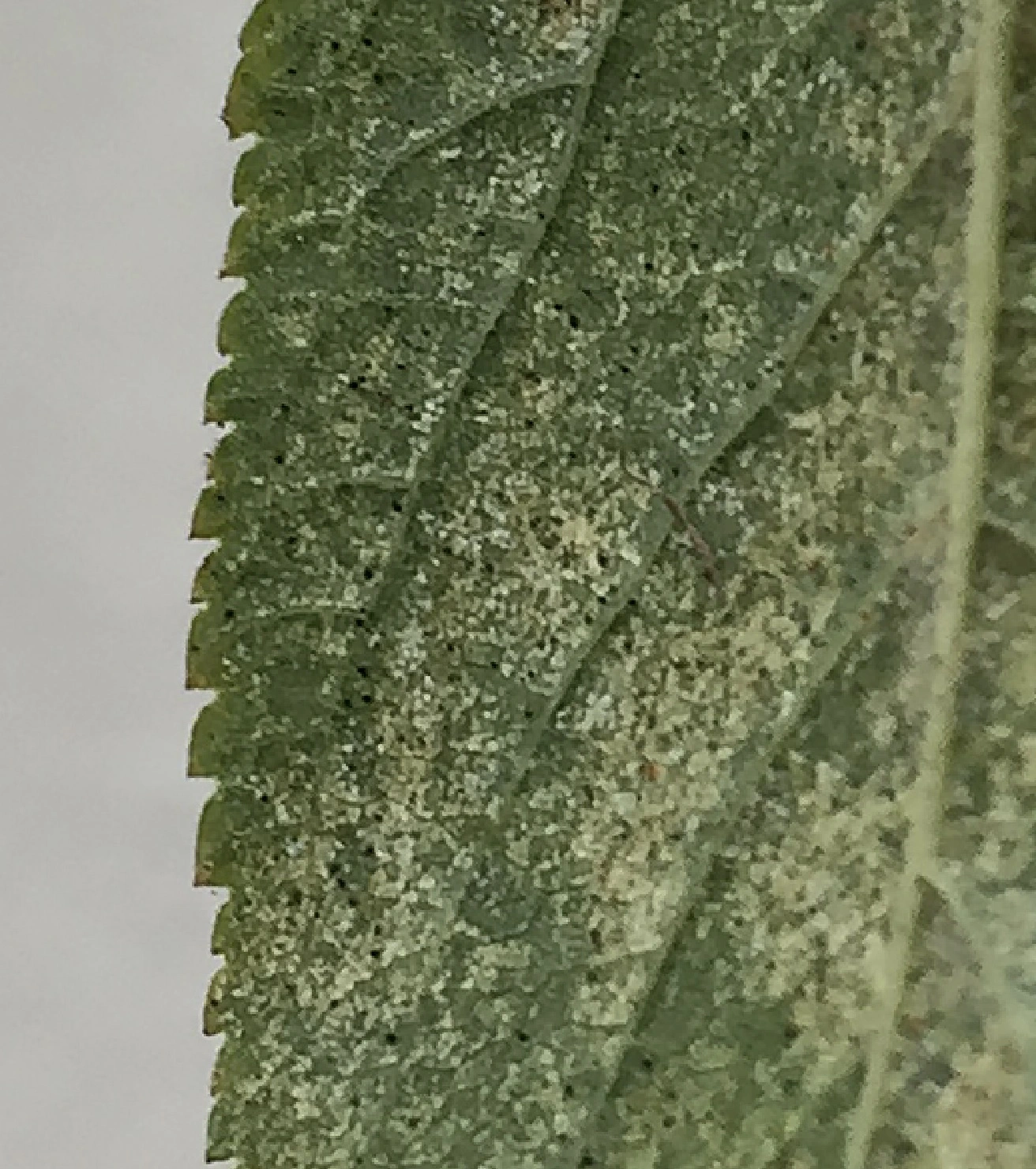 Bildschirmfoto 2018-10-23 um 13.46.09.webp