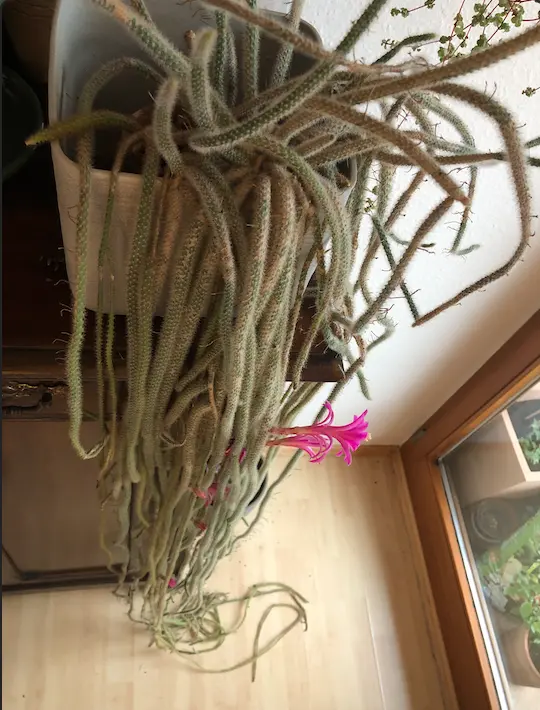 Bildschirmfoto 2021-04-13 um 14.09.27.webp