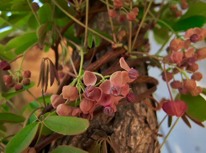 Bildschirmfoto 2021-05-24 um 10.48.48.webp