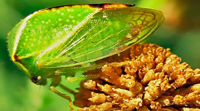 Bildschirmfoto 2021-09-11 um 16.26.46.webp