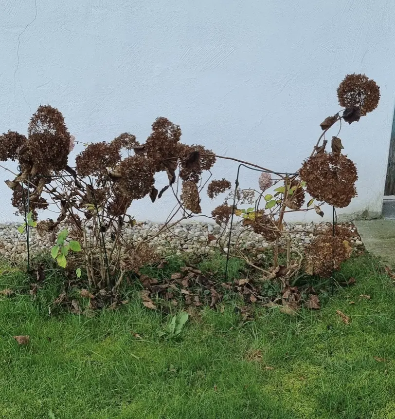 Bildschirmfoto 2024-11-03 um 16.53.25.webp