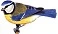 Blaumeise_01_k.webp