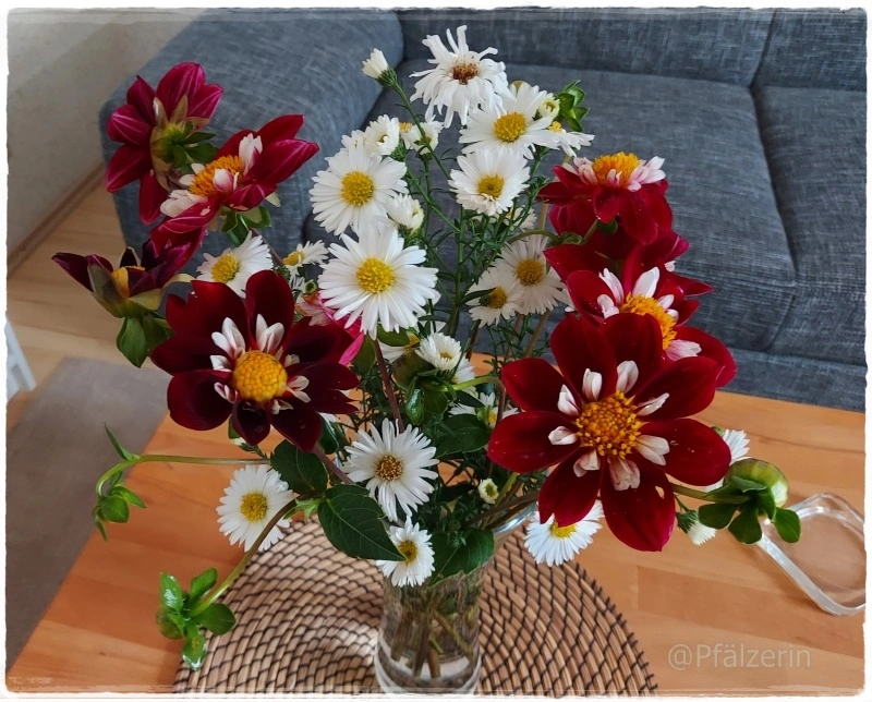 Blumenstrauß mit Dahlien und weißen Herbstastern.webp