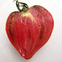 Borisovnas Black Heart - aufgeschnitten längs.jpg