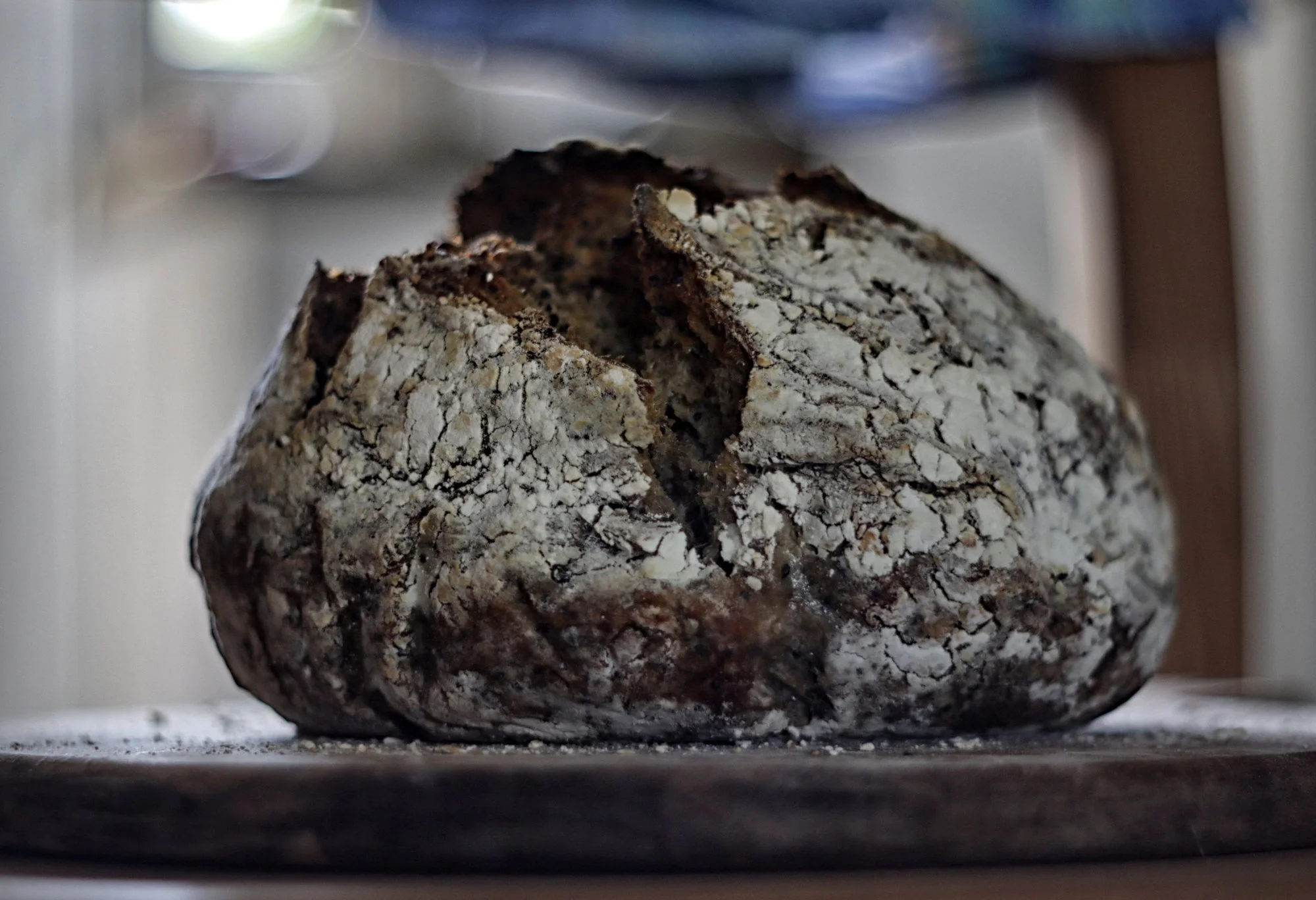 Brot17.webp