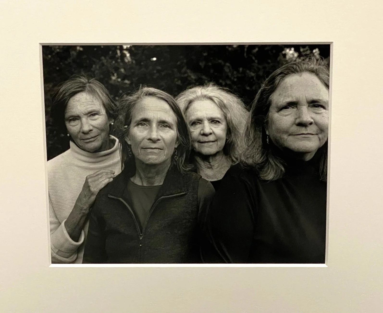Brown Sisters.webp