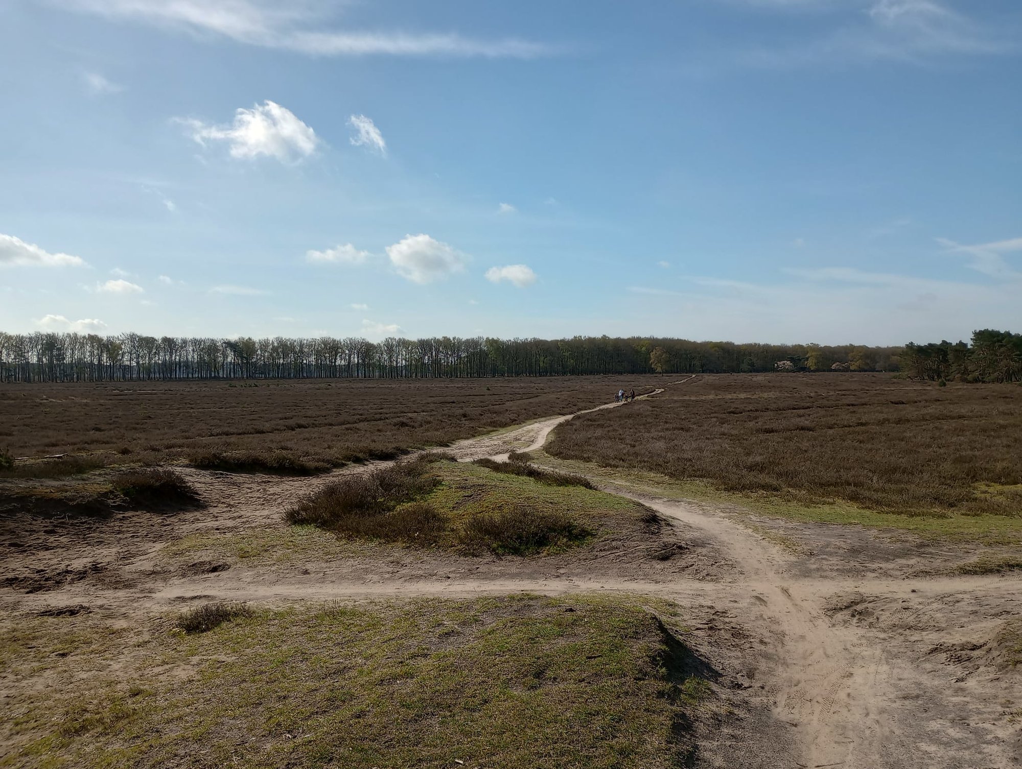 Bussumer Heide01.jpg