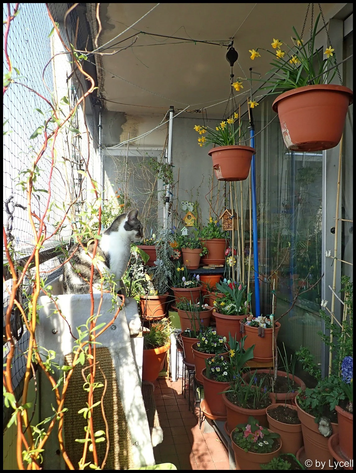 c004.webp