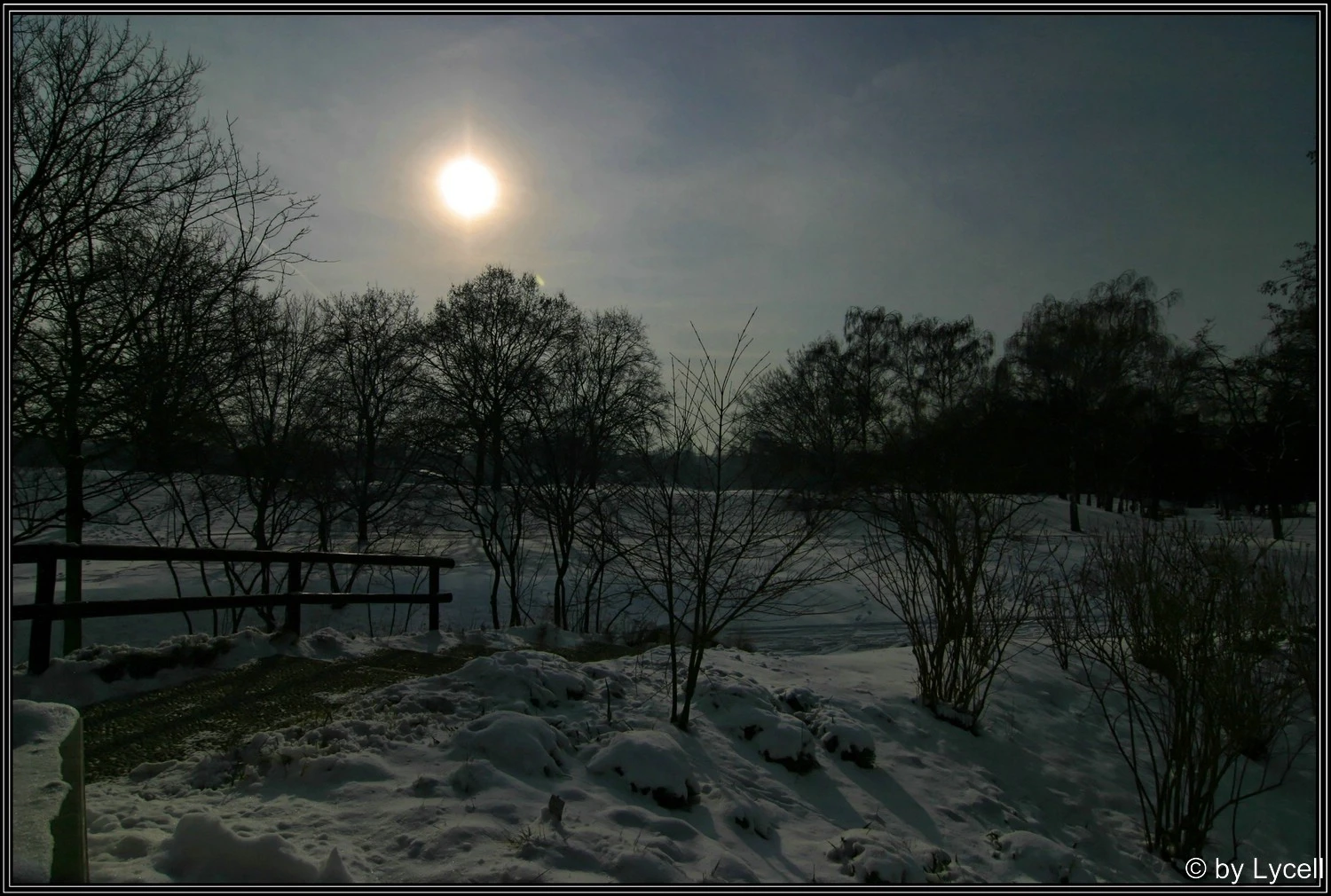 c029.webp