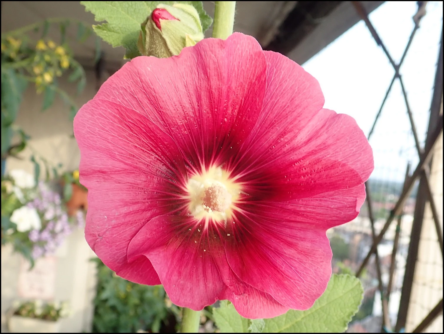 c030.webp