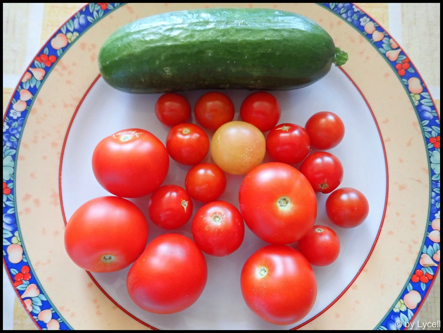 c035.webp