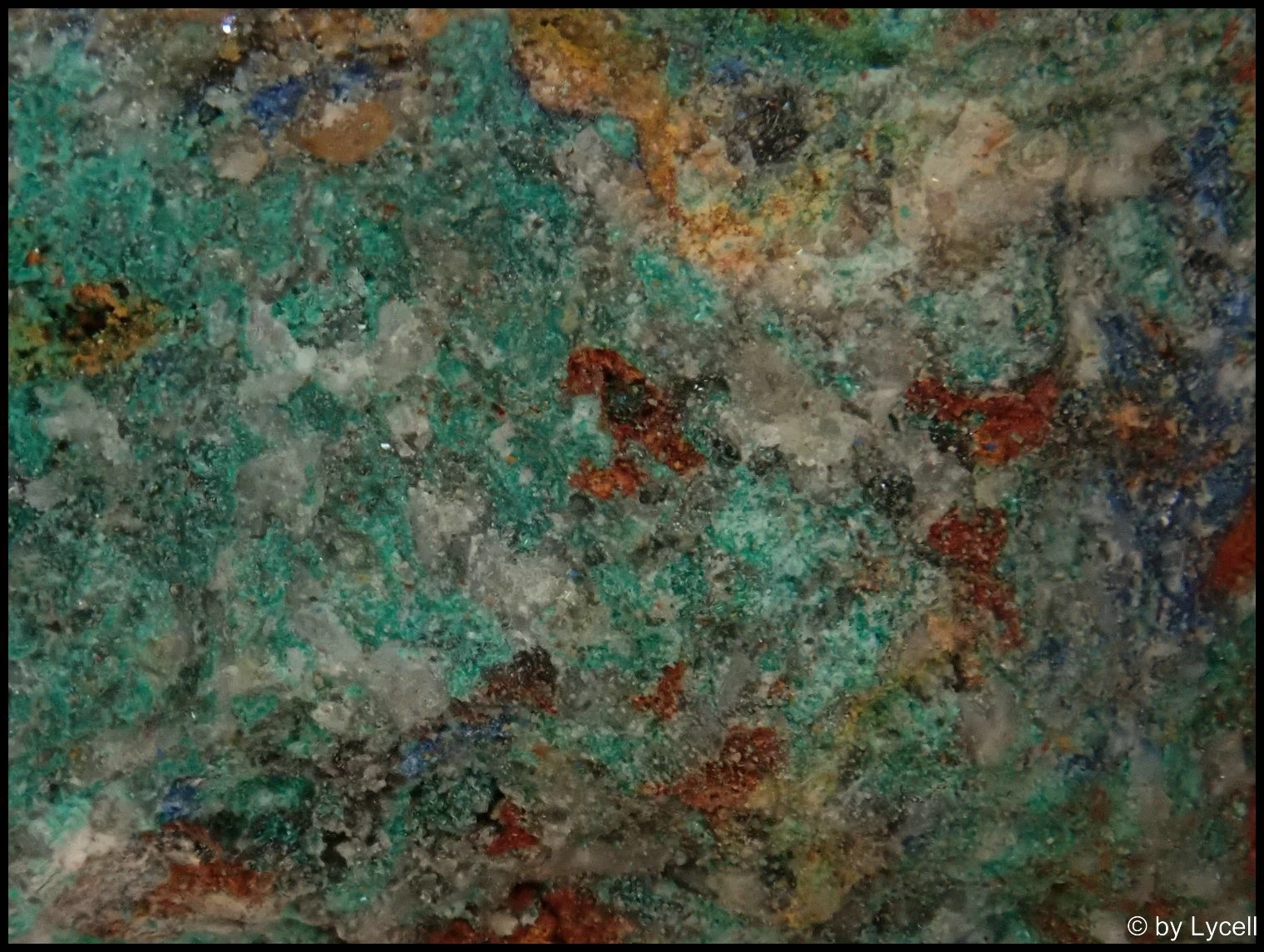 c061.webp